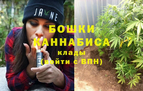 МДПВ Краснослободск