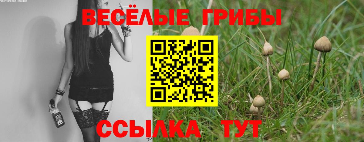 Псилоцибиновые грибы Psilocybine cubensis Комсомольск-на-Амуре