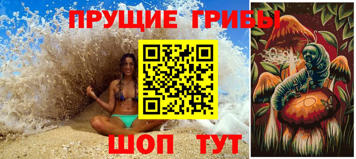 Псилоцибиновые грибы мицелий  купить наркотики сайты  Комсомольск-на-Амуре  Вход с VPN  Псилоцибиновые грибы MAGIC MUSHROOMS 